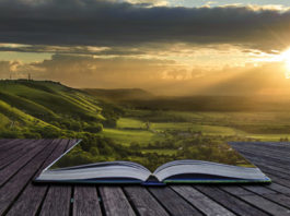 Libri arte 291 0 Libri arte